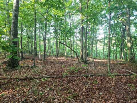 0 Ridge Road, Evington, VA 24550