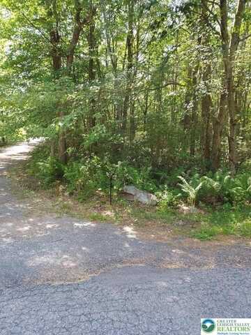 N Sycamore & Lauan Lane, Penn Forest Twp, PA 18229