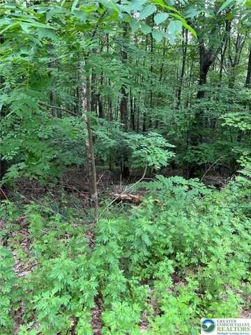 Faber Circle, Pocono Twp, PA 18372