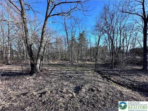 Walnut Drive, Lehigh Twp, PA 18038
