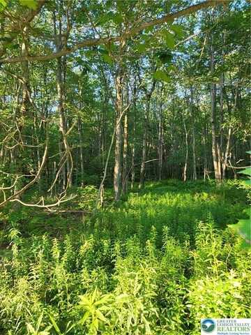 168 Cross Street, Tobyhanna, PA 18347