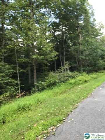 367 -368 Sparrow Lane, Penn Forest Twp, PA 18229