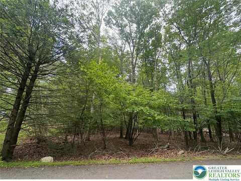 lot#1203 crabapple Lane, Polk Twp, PA 18058
