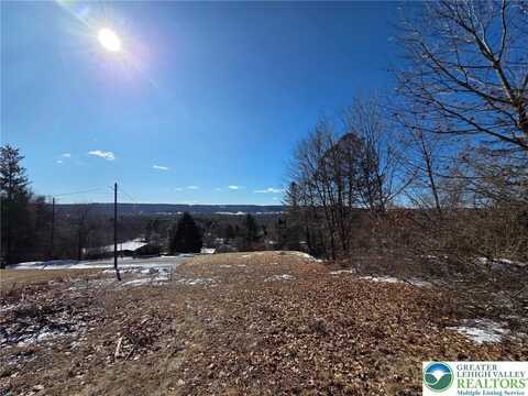 Ashley Court, Polk Twp, PA 18058