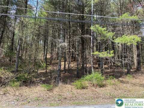 2 Haney Road, Polk Twp, PA 18058
