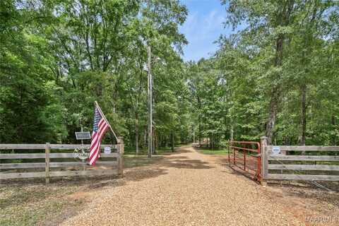 13871 Old Pike Road, Mathews, AL 36052