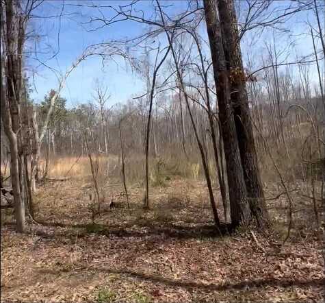 0 RITTER, Morris Chapel, TN 38361