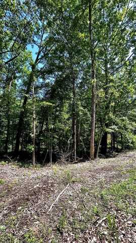 1208 REDWOOD, Saulsbury, TN 38067