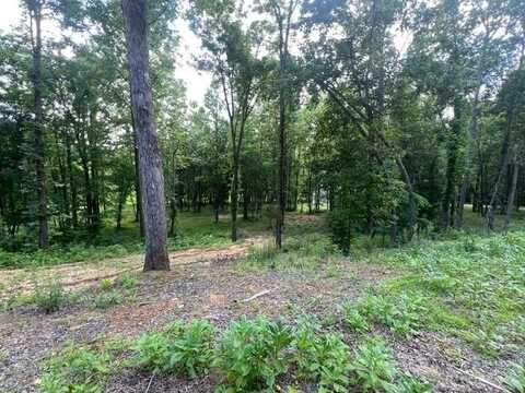 340 DELTA QUEEN, Clifton, TN 38425