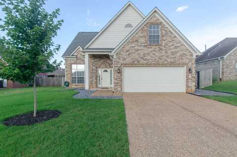 20 RACHEL, Somerville, TN 38068
