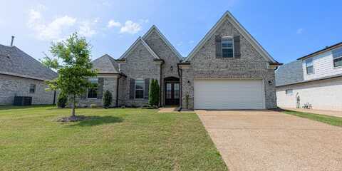 65 CHESNUT SPRING, Oakland, TN 38060