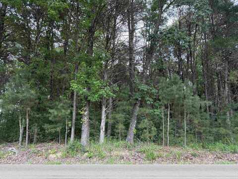 0 LATTING, Eads, TN 38016