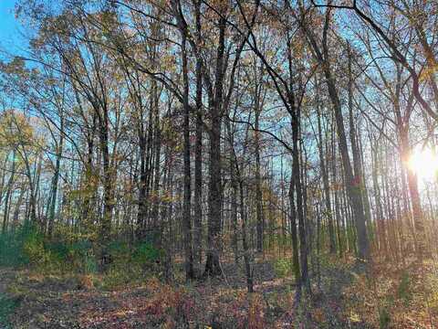 0 HAYS, Moscow, TN 38057