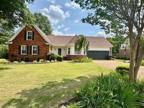 423 PINE GROVE, Collierville, TN 38017