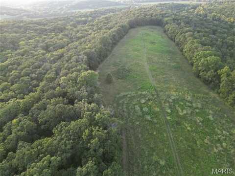 15 Tanglefoot Farms Road, Festus, MO 63028