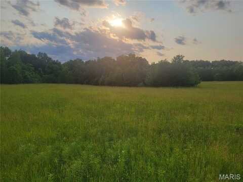 229 Red Oaks Drive, Troy, MO 63379