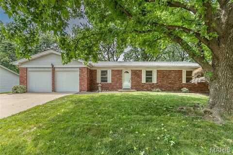 611 Amber Jack Drive, Ballwin, MO 63021