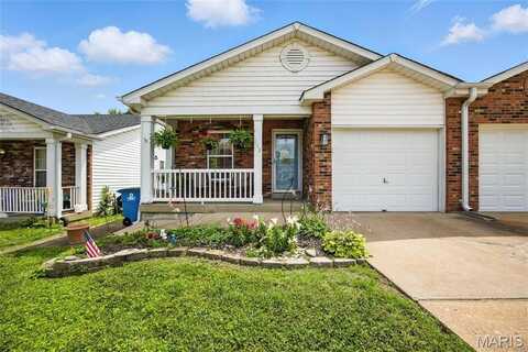 110 Kearney Street, Saint Louis, MO 63125