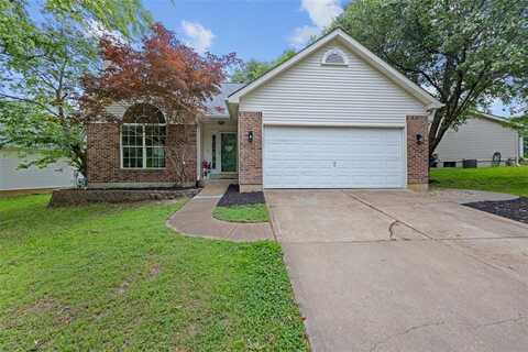 11917 Katiejo Court, Saint Louis, MO 63043