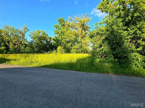 1309 N 43rd Street, East Saint Louis, IL 62204