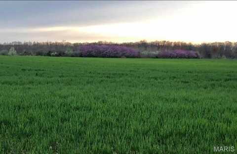 0 Kelley (20+/- Acres) Lane, Jonesburg, MO 63351
