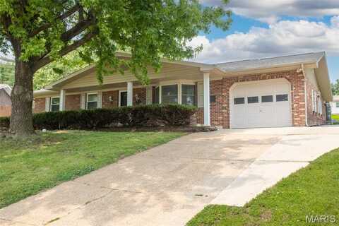 1121 Alexander Drive, Festus, MO 63028