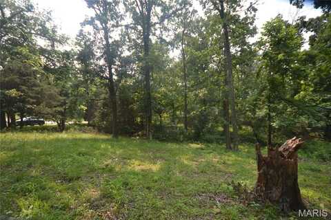 0000 McKinney Chapel Road, Marion, IL 62959