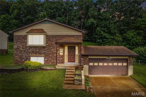 1658 Sparrow Point Lane, Fenton, MO 63026