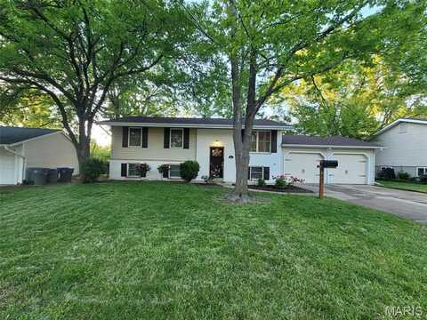 807 Larkspur Lane, O'fallon, MO 63366