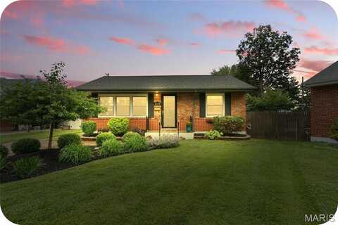 7332 Leona Street, Saint Louis, MO 63116