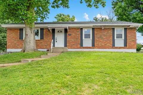 199 Tapestry Drive, Saint Louis, MO 63129