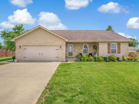628 Hailie Street, Saint Libory, IL 62282