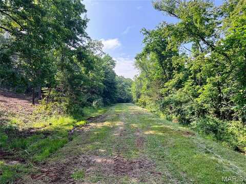 0 Mimeaux Court, Bonne Terre, MO 63628