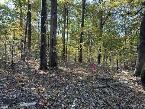 747 Hohokam Lane, Jackson, MO 63755