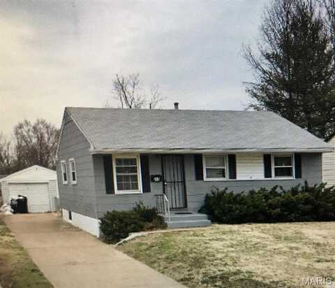 319 Shepley Drive, Saint Louis, MO 63137