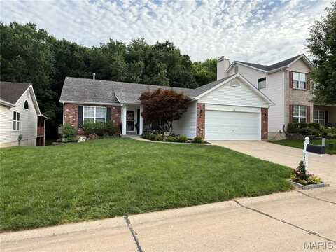 740 Shadow Pine Drive, Unincorporated, MO 63026