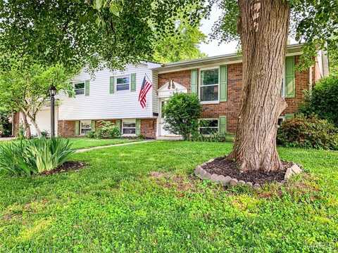 613 Julia Drive, O'Fallon, IL 62269