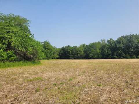 0 Highway 54 (6.2+/- Acres), Bowling Green, MO 63334