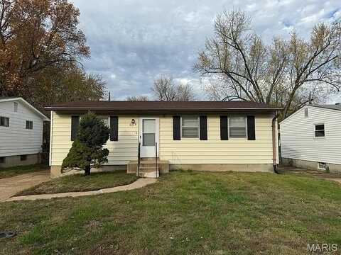 1217 Scott Avenue, Unincorporated, MO 63138