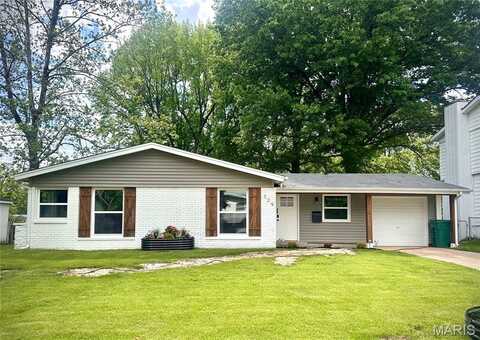 309 Todd Lane, Belleville, IL 62221
