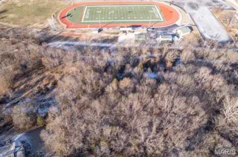 820 Berry Drive, De Soto, MO 63020