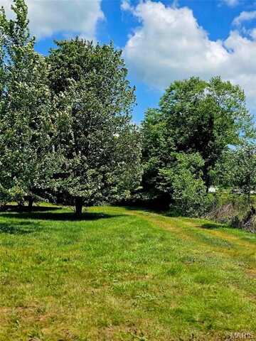 202 Ripley Route B, Naylor, MO 63953