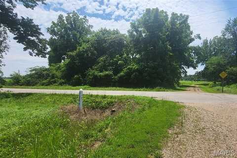 314 S E Street, Poplar Bluff, MO 63901