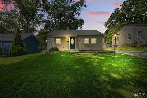 7825 Delmont Street, Saint Louis, MO 63123