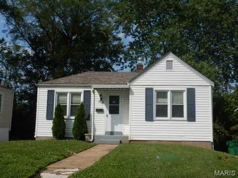 7521 Chandler Avenue, Saint Louis, MO 63136