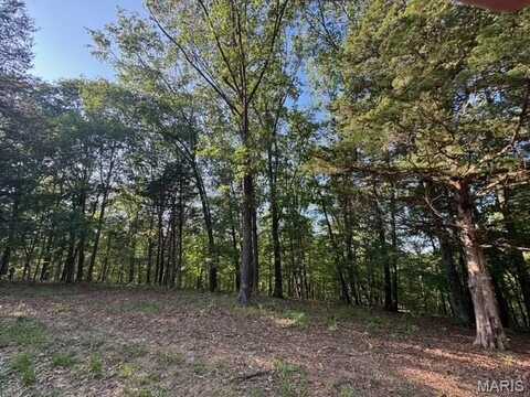 110 Steeple Point Dr. Lot # 14 Drive, Defiance, MO 63341