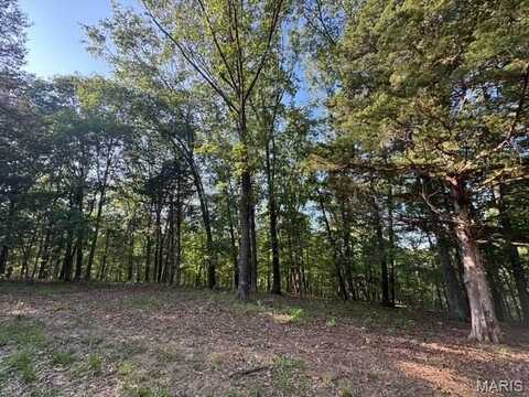 120 Steeple Point Dr. Lot #13 Drive, Defiance, MO 63341