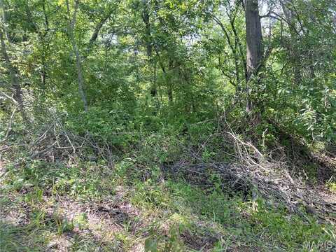0 Hillview Lane, Perryville, MO 63775