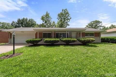 11533 Norgate Drive, Saint Louis, MO 63138