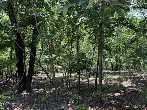1361 Bear Canyon Road, Wildwood, MO 63021